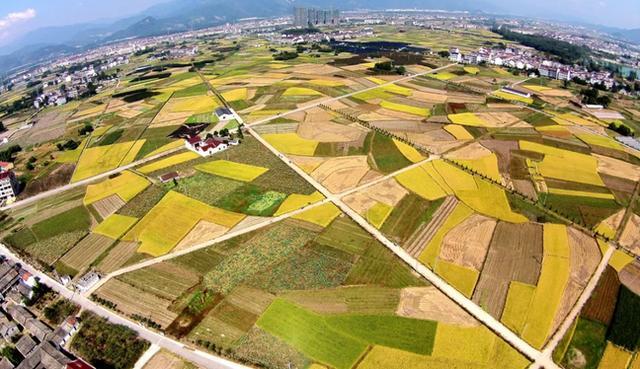 乡村振兴浙里寻｜来看仙居乡村振兴“五大法宝”