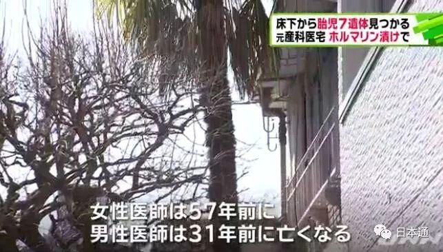 毛骨悚然！日本惊现多具福尔马林浸泡婴儿尸体，背后有何隐情