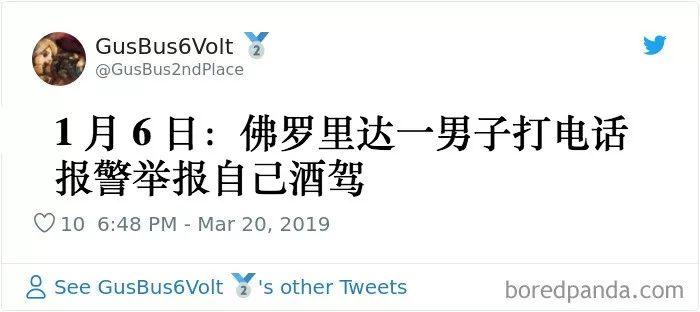 佛罗里达，一个盛产沙雕新闻的州