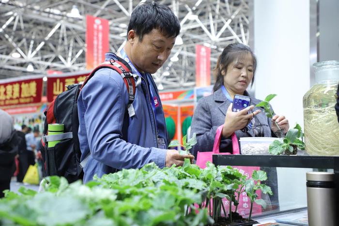 第二十七届北京种子大会在河北廊坊开幕