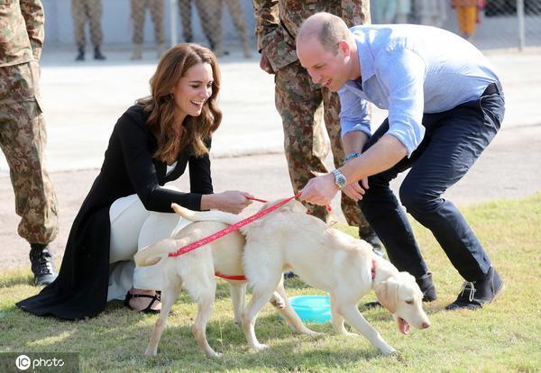 威廉王子夫妇访问巴基斯坦 下蹲与狗狗互动亲和力满分