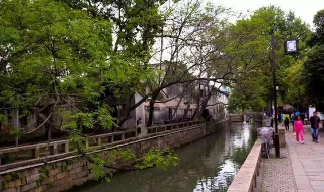 踏青怕堵？沿苏州这十条最美骑行路线，赴一场春天的约会