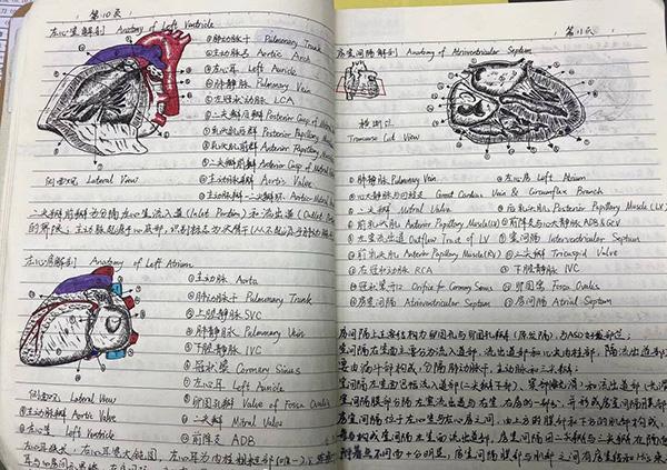 吴炳钢画的解剖图 本文图片均由受访者提供