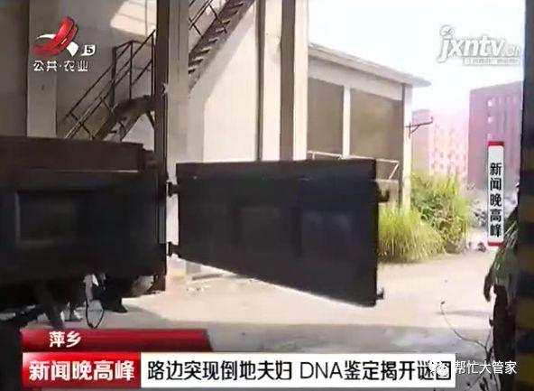 萍乡：路边突现倒地夫妇    DNA鉴定揭开谜团