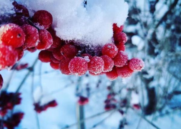 俄罗斯西伯利亚多地已迎来初雪