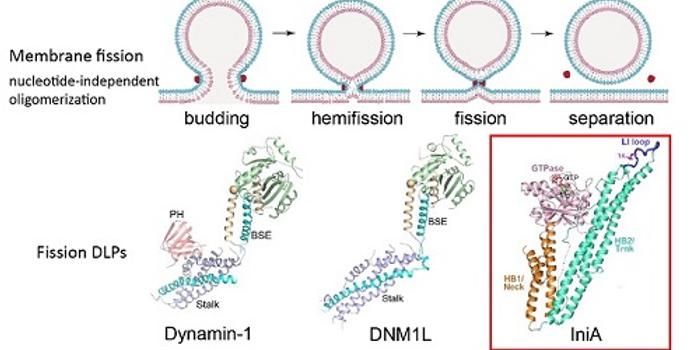 让动物睡觉的科学原理_睡眠的科学 生命入睡 苏醒的机制与奥秘 电子书(3)