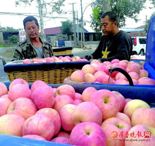 苹果平价！丰产丰收 价格回落归理性