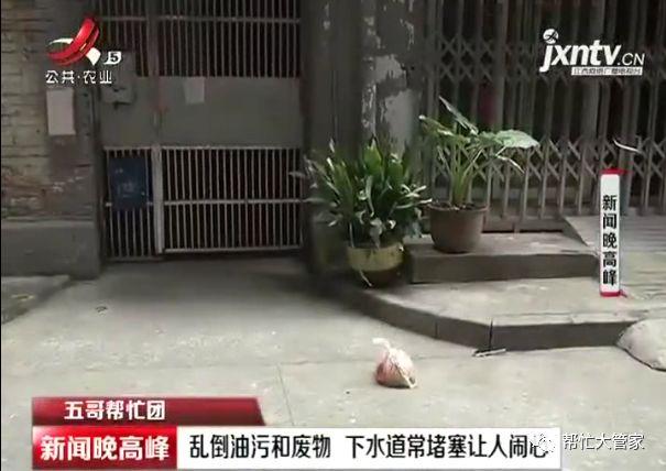 乱倒油污和废物  下水道常堵塞让人闹心