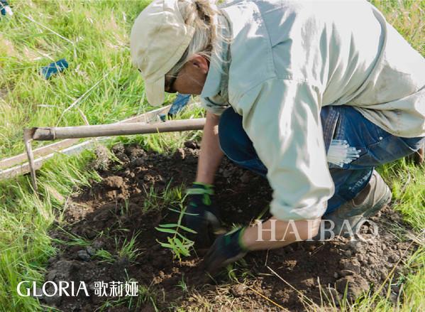 歌莉娅 (GLORIA) 发布2018夏季女装，全新“绿野星踪”概念店也正式亮相广州K11购物艺术中心三层