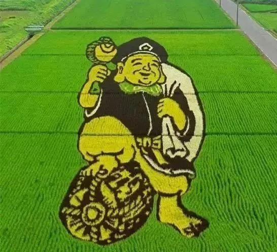 未解之谜：日本村庄惊现二次元稻田！