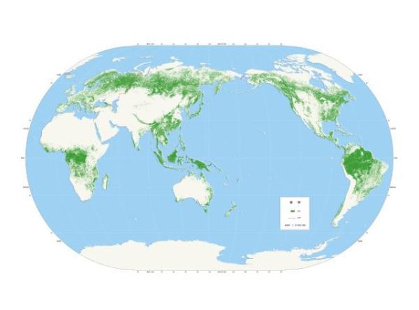 中国科学家发布最新全球30米分辨率森林覆盖分布图
