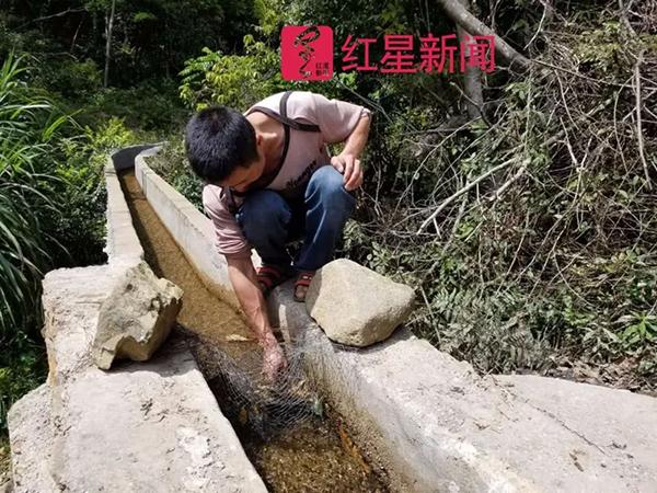 广东河源养殖户鲟鱼接连被投毒，县委书记宣布全县扫黑除恶