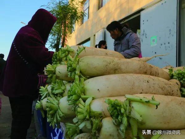 锦州秋天的早市，逛出生活的乐趣！大葱、萝卜、白菜老三样