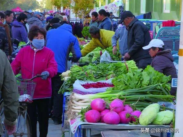 锦州秋天的早市，逛出生活的乐趣！大葱、萝卜、白菜老三样