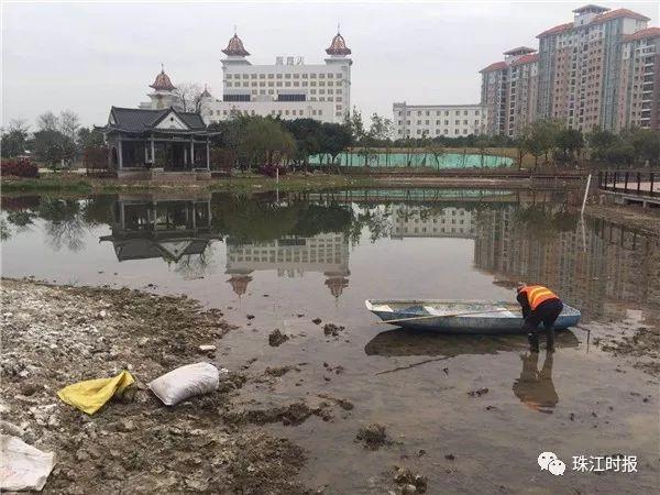 南海环境整治见成效，反差比PS更惊人！有图有真相，邀您来点赞