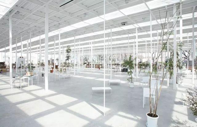 像鸟儿那样轻——日本建筑轻盈化的建筑结构策略（一）