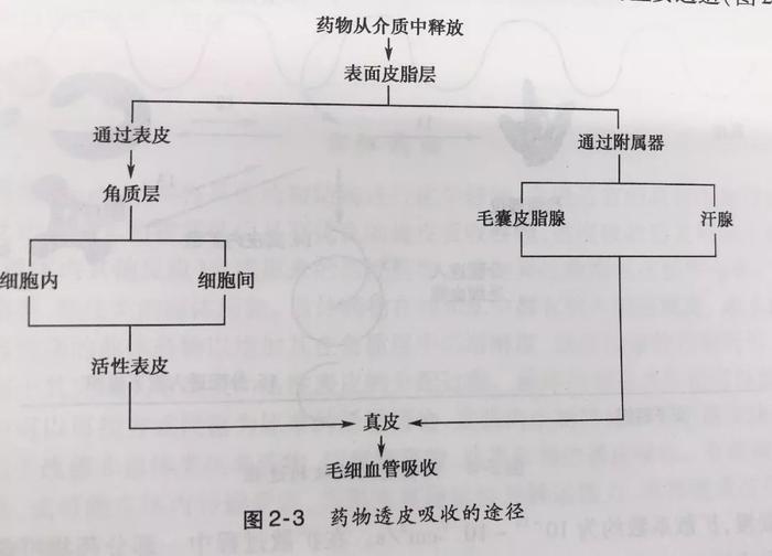 看完周冬雨和白人同框，就明白为何大家说欧美护肤品不适合亚洲人！