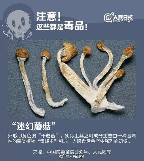 禁毒不得力，约谈！和平三镇被约谈力争年底“摘帽”