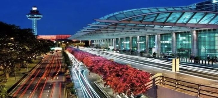 新加坡樟宜国际机场,为何叫樟宜?490095_