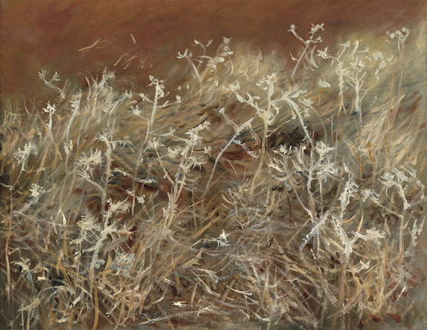 《蓟》(Thistles)1883/89。 芝加哥艺术博物馆 Gift of Brooks McCormick。
