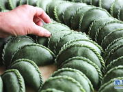 浙江杭州：“清明果”飘香