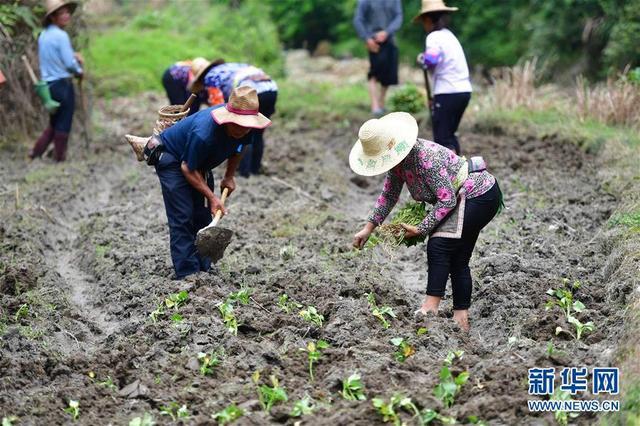 苗山脱贫影像志——凝聚力量助跨省苗寨脱贫