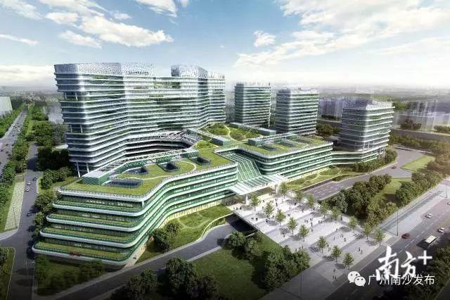 广州南沙区与广东省中医院共建临床科研平台，助力大湾区中医药高地建设
