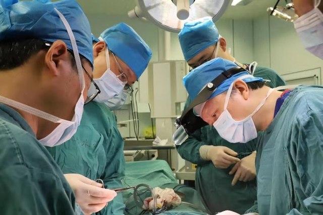 上海九院整复外科团队摘除女子面部10公斤罕见肿瘤