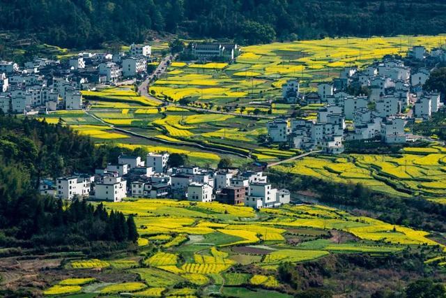 久居喧嚣的城市，在沉静的古村镇里住几天，历史与现实恍然交错