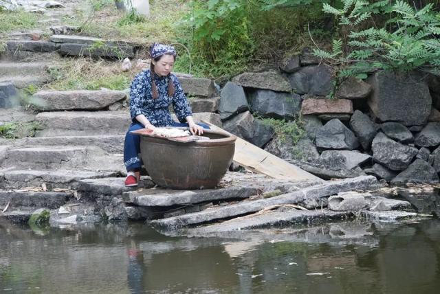 蚕丝被”内幕被揭开后，养蚕人这番话让人恍然大悟...