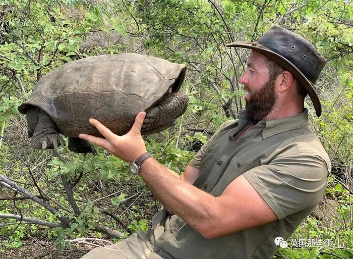 这巨龟消失了一个世纪，终于有人在地狱般的群岛上，找到了它！