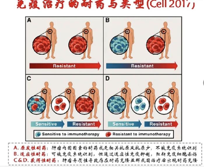 2019CSCO报告丨重磅抗癌药研发进展盘点，后免疫治疗的时代来临