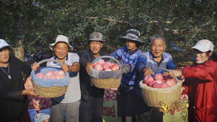 我的家乡在陕西｜这里的苹果栽植堪称陕北黄土高原上的“一个创举”