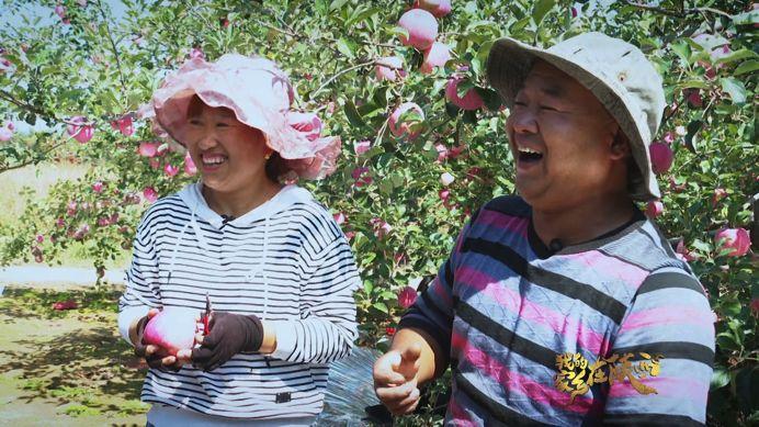 我的家乡在陕西｜这里的苹果栽植堪称陕北黄土高原上的“一个创举”