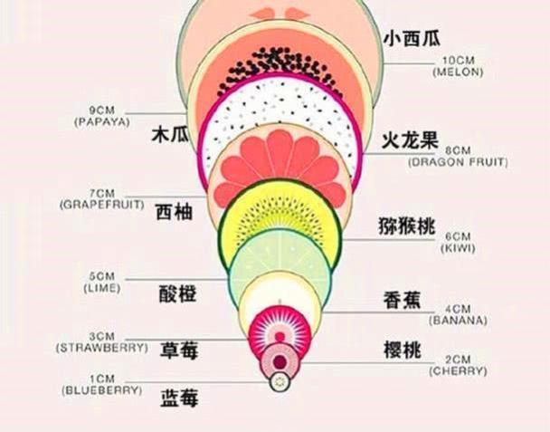 开十指到底有多大？看完张水果对比宫口图，心疼生孩子的妈妈们