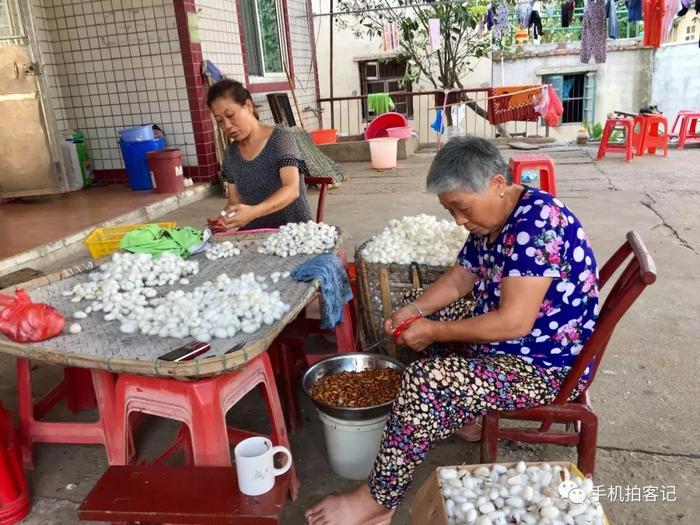 乡村发现 | 古桑洲的悠悠往事,如约而至的寻根之旅