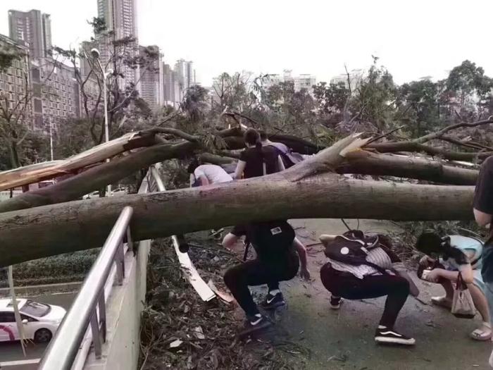 台风“山竹”肆虐华南港口，码头被淹、集装箱倒塌！各码头作业情况不容乐观！