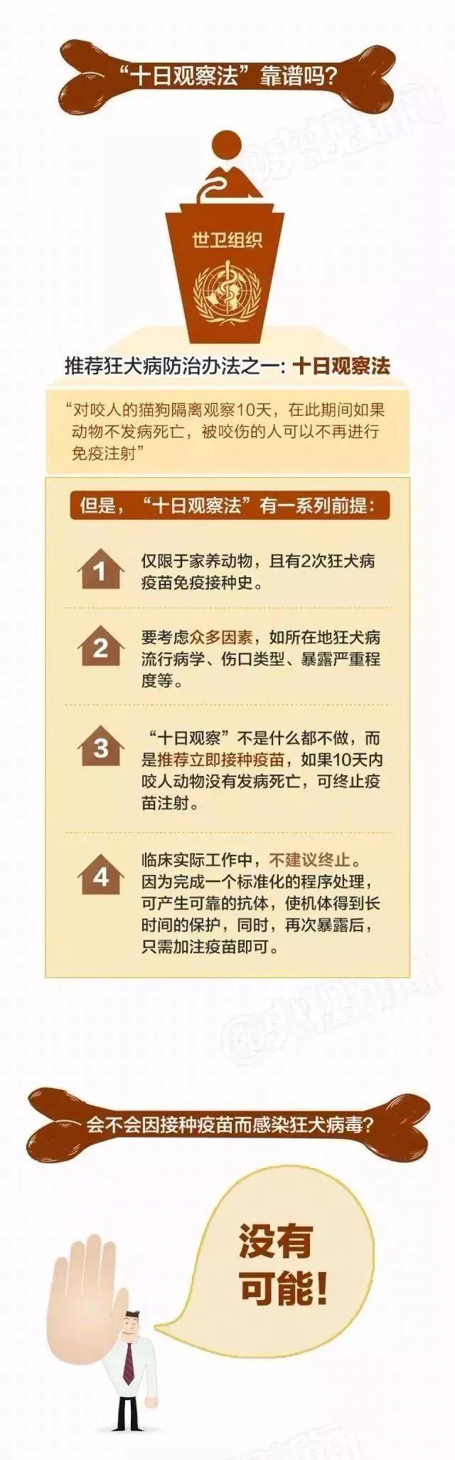 痛心 ！ 被狗舔40天后，9岁孩子突然死亡，这些事你必须知道……