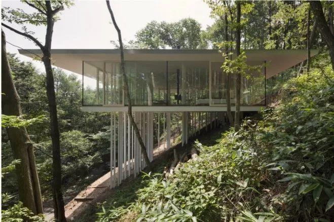 像鸟儿那样轻——日本建筑轻盈化的建筑结构策略（一）