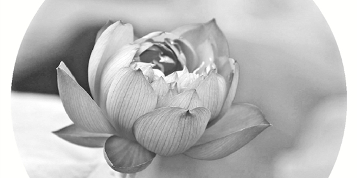 她有一个大气的名字,叫中国红