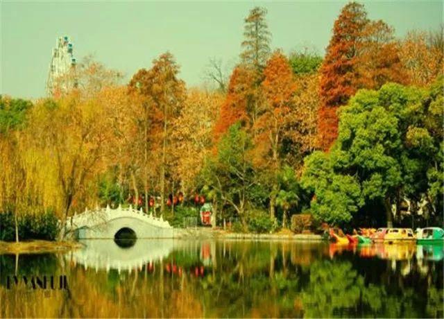 安庆人最爱去的地方，菱湖风景区
