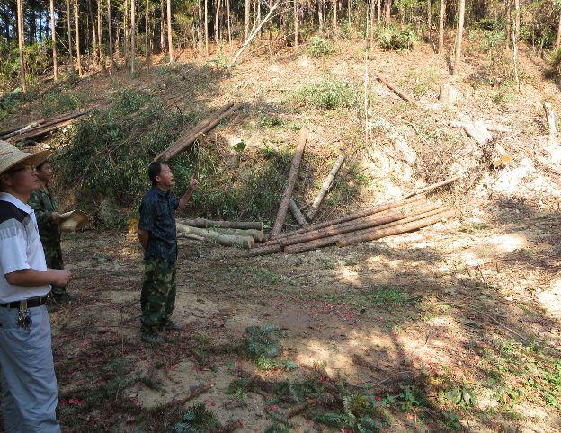 【“最美林业人”系列报道】赣州林业人张斌——“绿色银行”的建造者