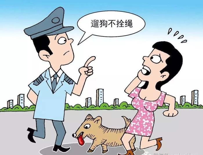 狗狗随地大小便惹人烦，深圳市民建议设置“遛狗专区”