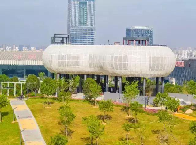 深圳北站中心公园开园啦！快来云顶书吧、空中走廊打卡