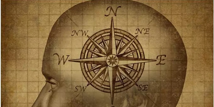 人类第六感首次被证实,研究发现人脑对磁场具