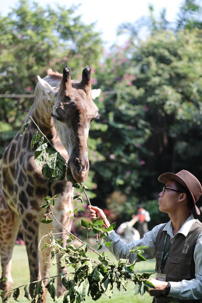 广东省保护野生动物宣传月启动