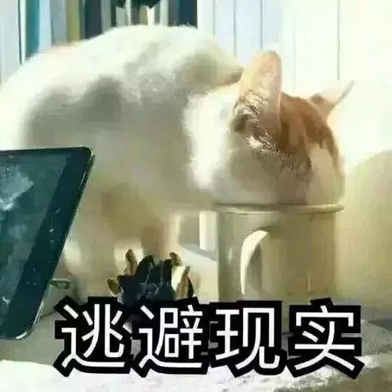 她怎么变这样了？完全认不出啊！