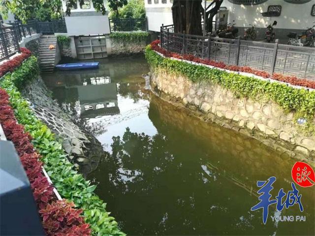 广州大学城创建排水单元达标先行区，先定一个小目标