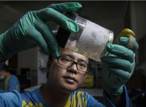 中国最大的蚊子工厂，用羊血喂养蚊子，每个月释放3000万只