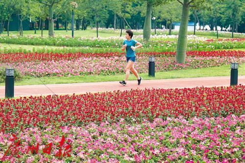 广州“最in”跑步地，临江大道缓跑径！